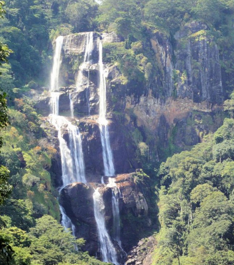 alexandar a tanzania safari guide