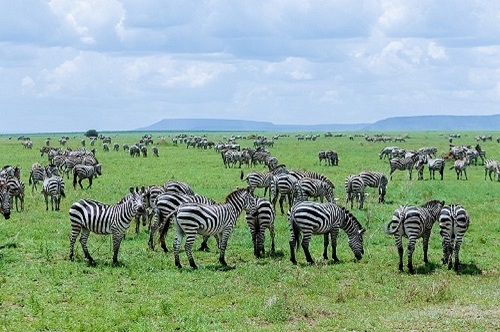 2 days Tanzania sharing safari tour hot air balloon for  2026-2027